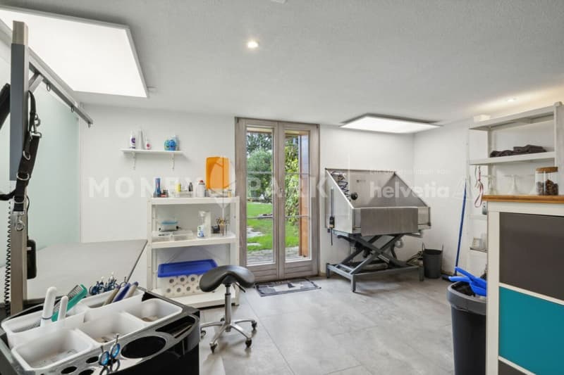 Historic House with Modern Flair - as a Duo (25)
