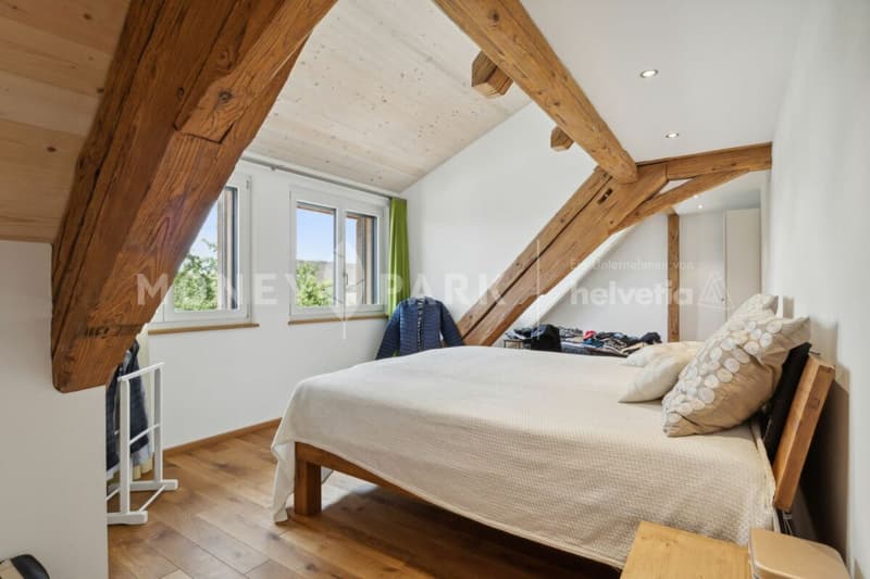 Historic House with Modern Flair - as a Duo (12)