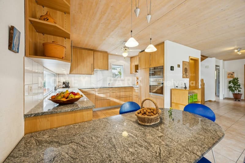 Charmante maison unifamiliale de 8,5 pièces avec beaucoup d'espace pour la famille et les loisirs (3)
