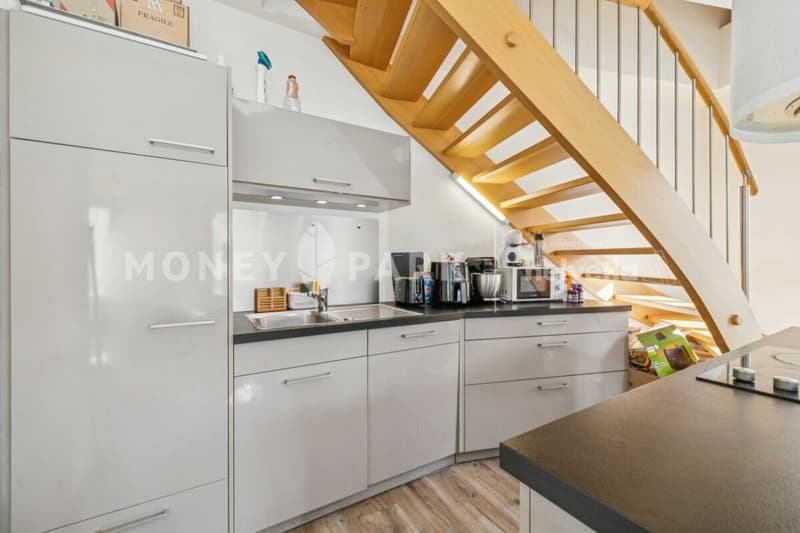 Duplex apartment with 3.5 rooms (6)