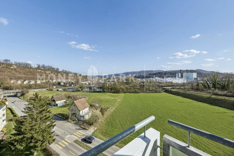 Modern 4.5-room apartment with a far-reaching view (14)