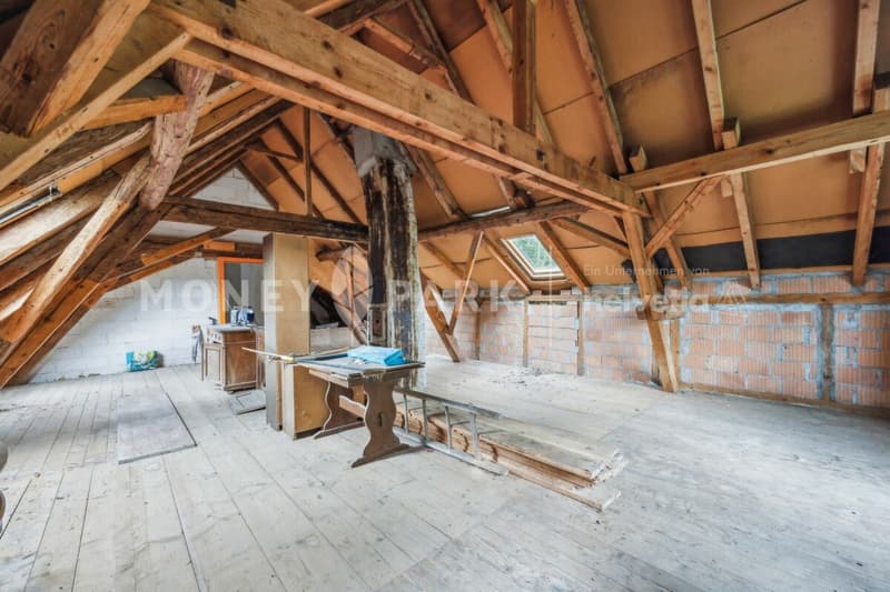 Charming 6-room single-family house in an idyllic agricultural area (11)