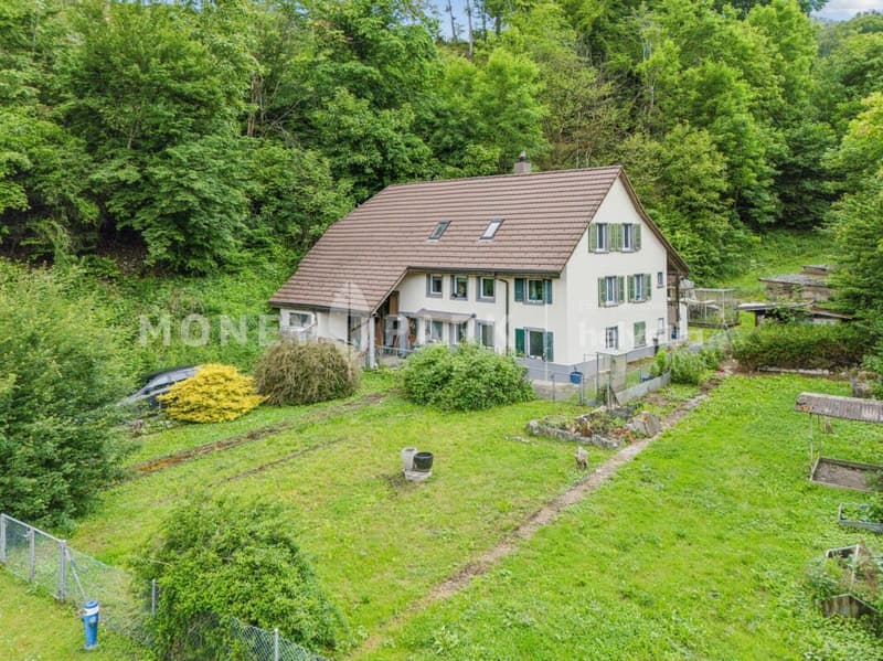 Charming 6-room single-family house in an idyllic agricultural area (1)