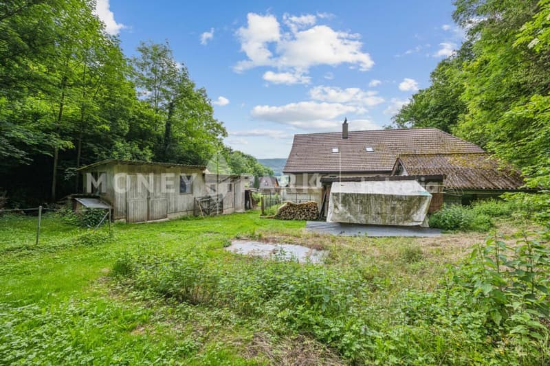 Charming 6-room single-family house in an idyllic agricultural area (14)