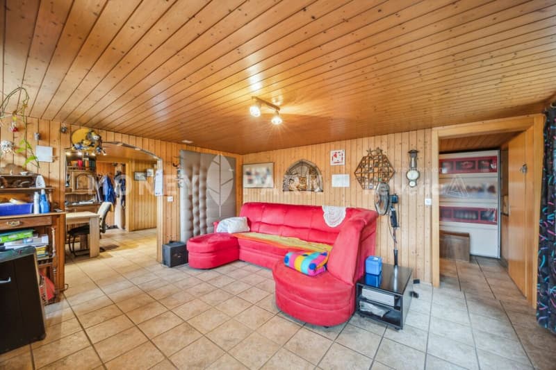 Charming 6-room single-family house in an idyllic agricultural area (2)