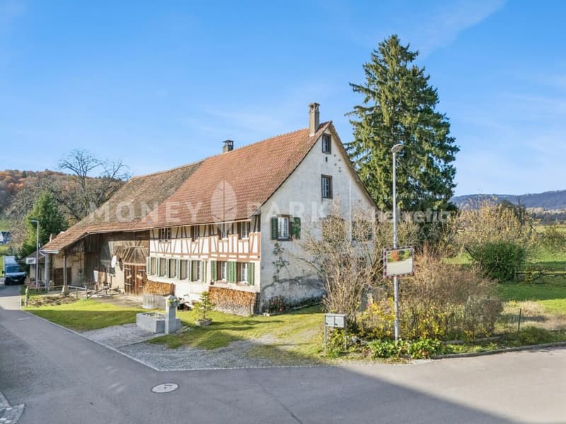 Historic 6.5-room farmhouse with large surroundings and great potential (1)