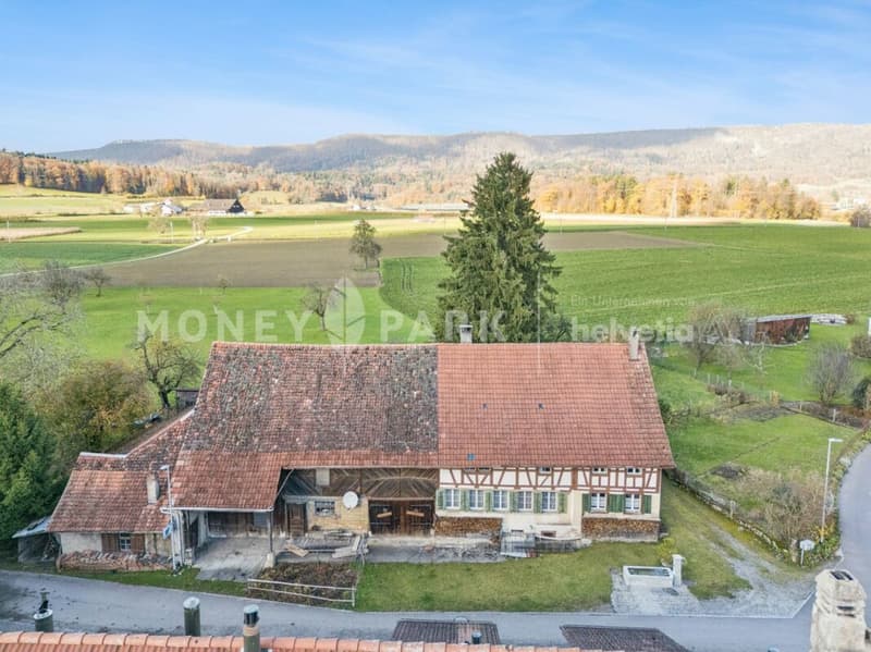 Historic 6.5-room farmhouse with large surroundings and great potential (13)