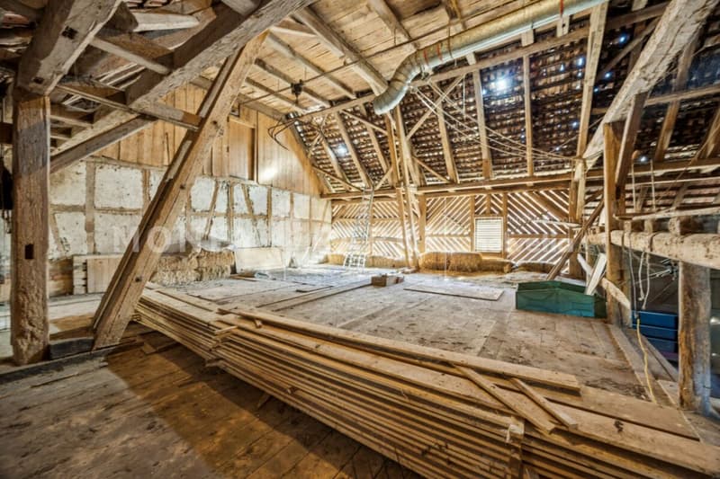 Historic 6.5-room farmhouse with large surroundings and great potential (11)