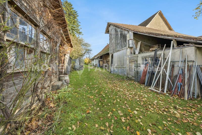 Historic 6.5-room farmhouse with large surroundings and great potential (12)