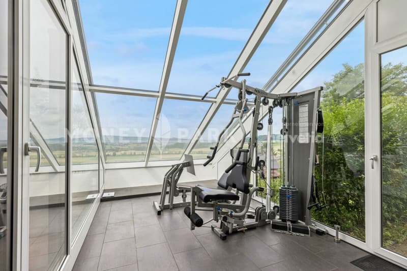 Appartement en terrasse 4,5 pièces avec vue panoramique exceptionnelle et jardin d'hiver (8)