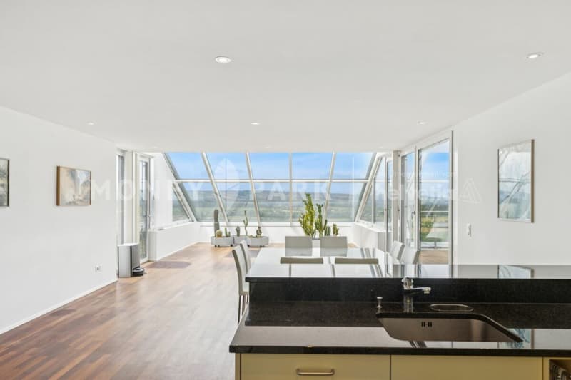Appartement en terrasse 4,5 pièces avec vue panoramique exceptionnelle et jardin d'hiver (2)