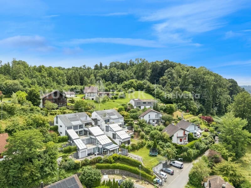 Appartement en terrasse 4,5 pièces avec vue panoramique exceptionnelle et jardin d'hiver (9)