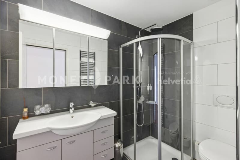Appartement en terrasse 4,5 pièces avec vue panoramique exceptionnelle et jardin d'hiver (6)