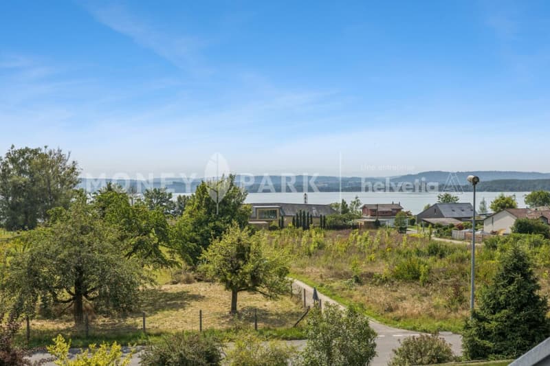 Magnificent property with lake view (4)