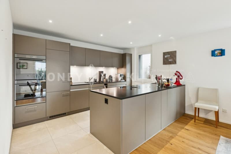 Modern 4.5-room ground floor apartment (3)