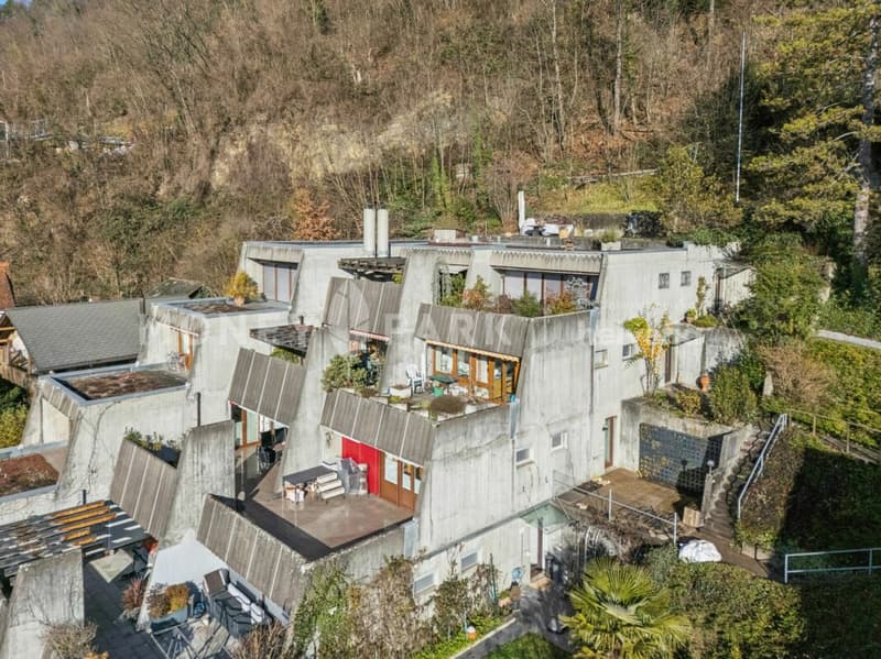 Terrace apartment with panoramic view over Liestal (1)