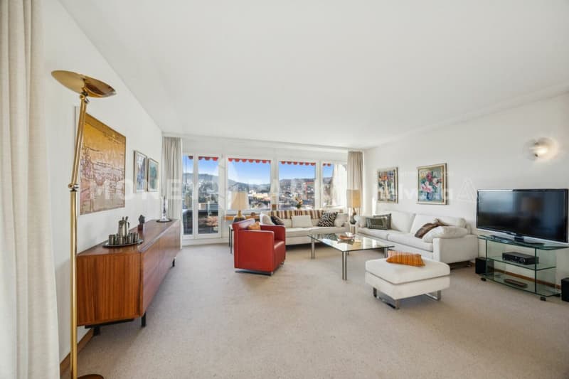 Terrace apartment with panoramic view over Liestal (4)
