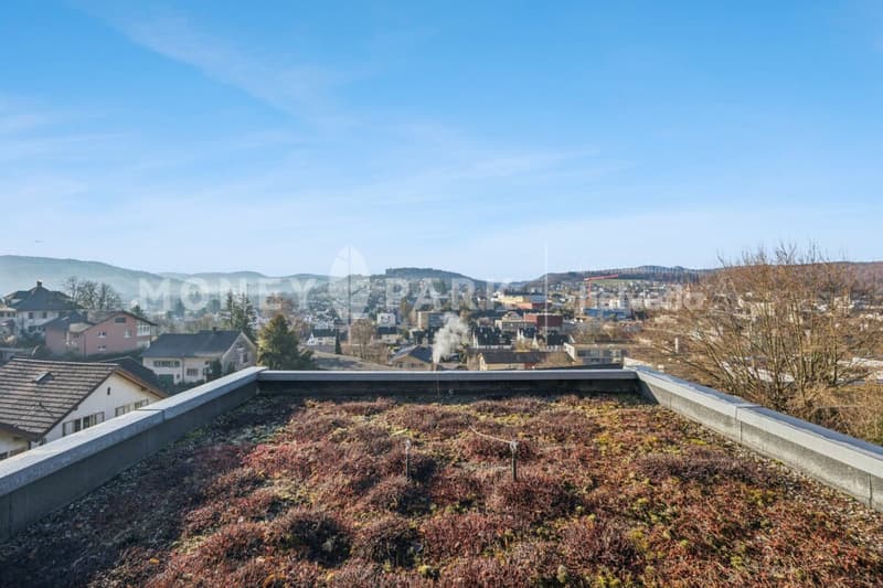 Terrace apartment with panoramic view over Liestal (12)