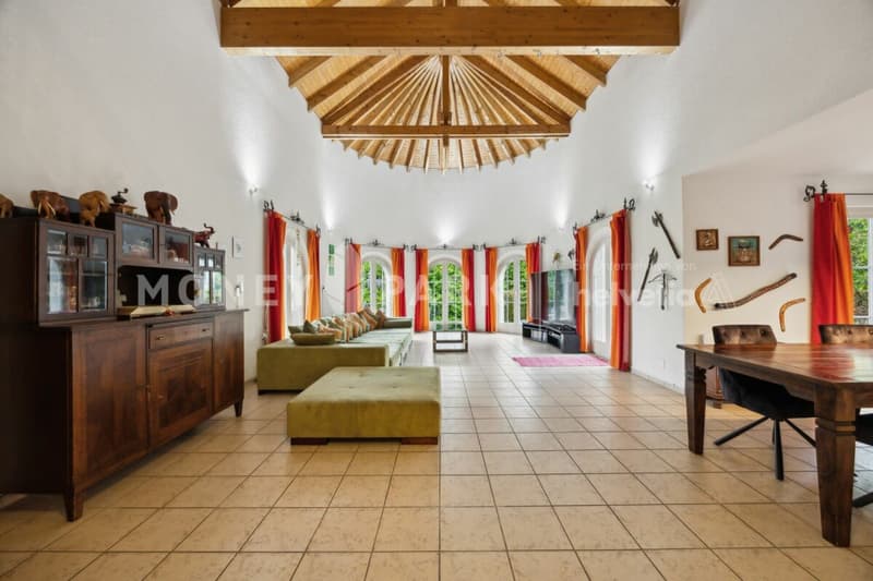 Exclusive 6.5-room villa - timeless and with many extras (5)