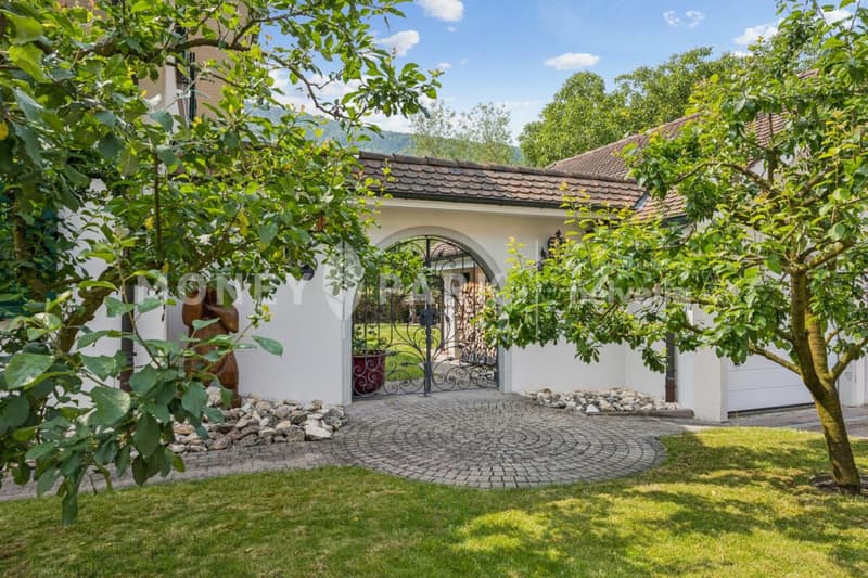 Exclusive 6.5-room villa - timeless and with many extras (2)
