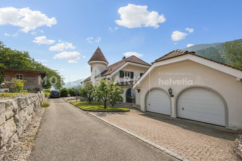 Exclusive 6.5-room villa - timeless and with many extras (1)