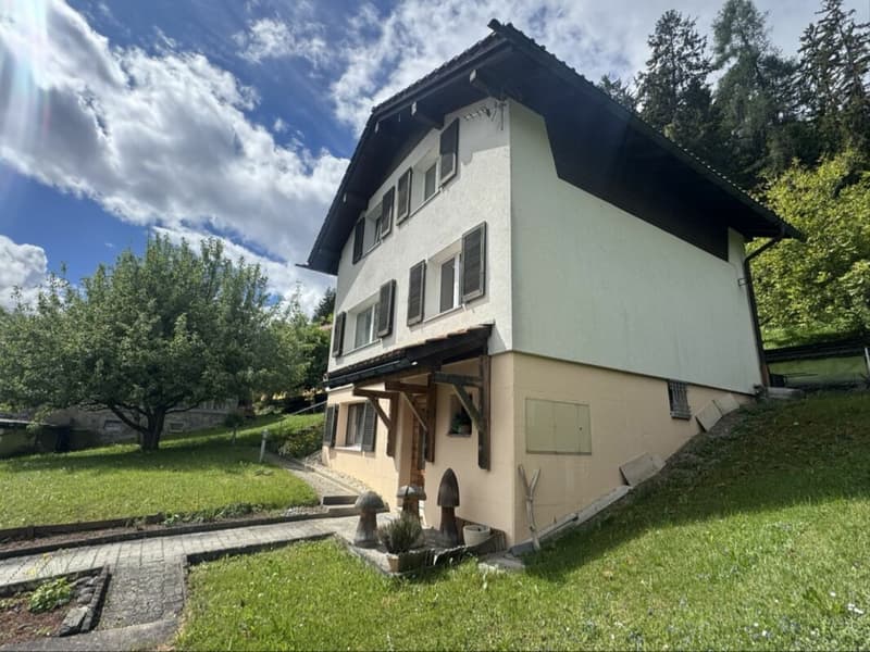 Terrain à développer dans un bon emplacement avec une maison unifamiliale existante (6)
