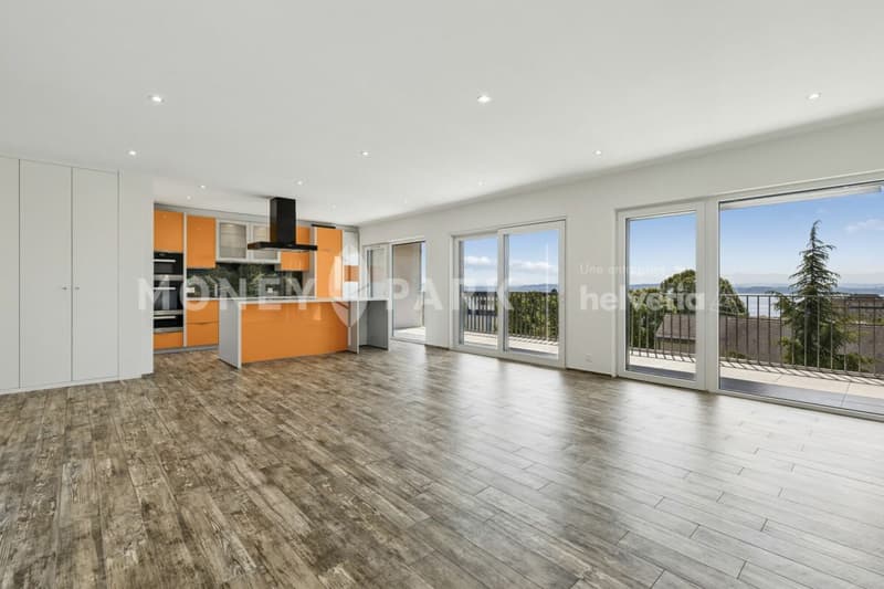 Beautiful duplex apartment (3)