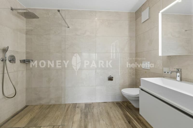 Beautiful duplex apartment (10)