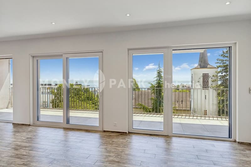 Beautiful duplex apartment (1)