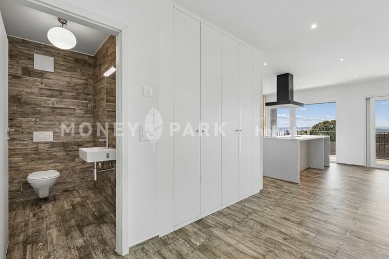 Beautiful duplex apartment (5)