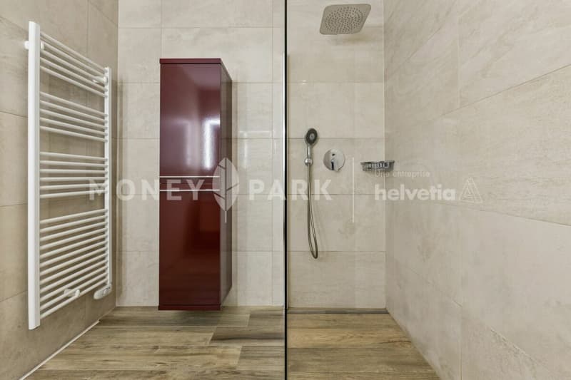 Beautiful duplex apartment (11)