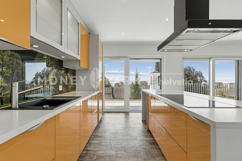 Beautiful duplex apartment (4)