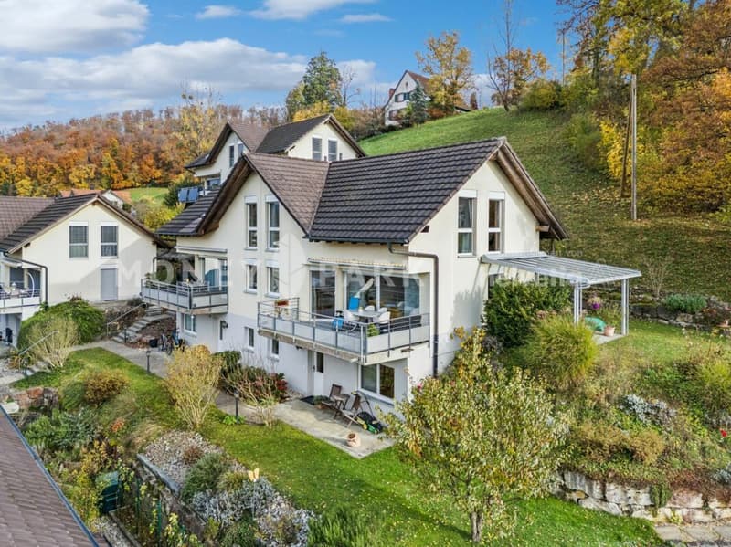 Wohlfühloase über den Dächern von Bubendorf - Ruhe, Aussicht und Privatsphäre (2)