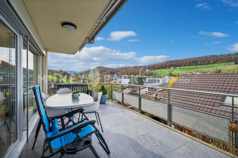 Wohlfühloase über den Dächern von Bubendorf - Ruhe, Aussicht und Privatsphäre (1)