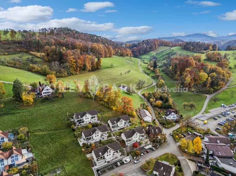 Wohlfühloase über den Dächern von Bubendorf - Ruhe, Aussicht und Privatsphäre (17)