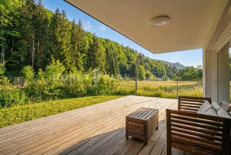 Stilvolle 5.5-Zimmer-Doppelhaushälfte an ruhiger, naturnaher Lage (8)