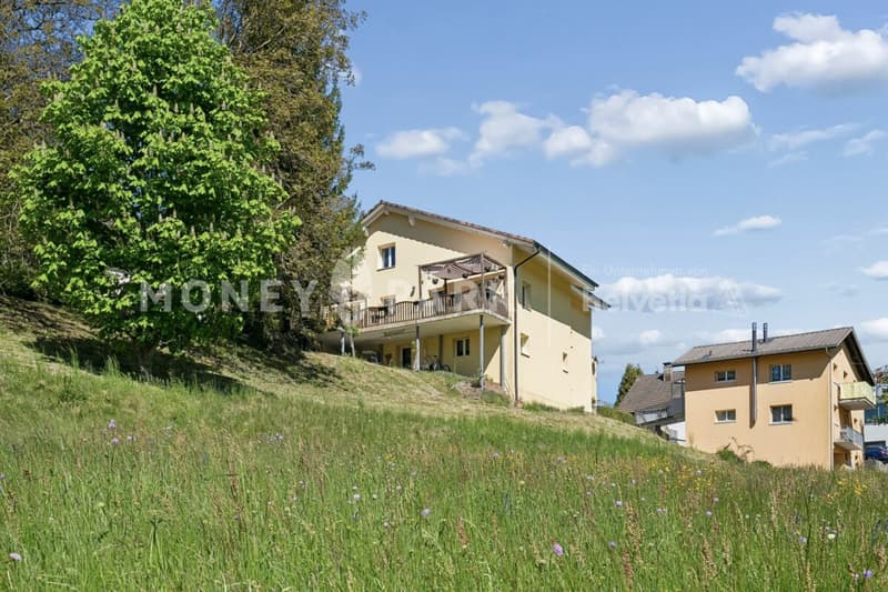 Terreno edificabile con proprietà esistente di alta qualità. Un'opportunità rara. (5)