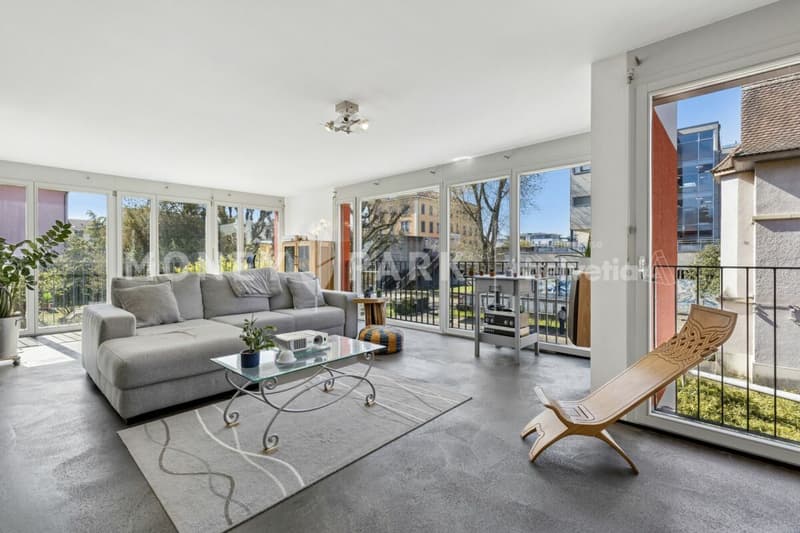 Grand appartement moderne et lumineux de 6.5-pièces (1)
