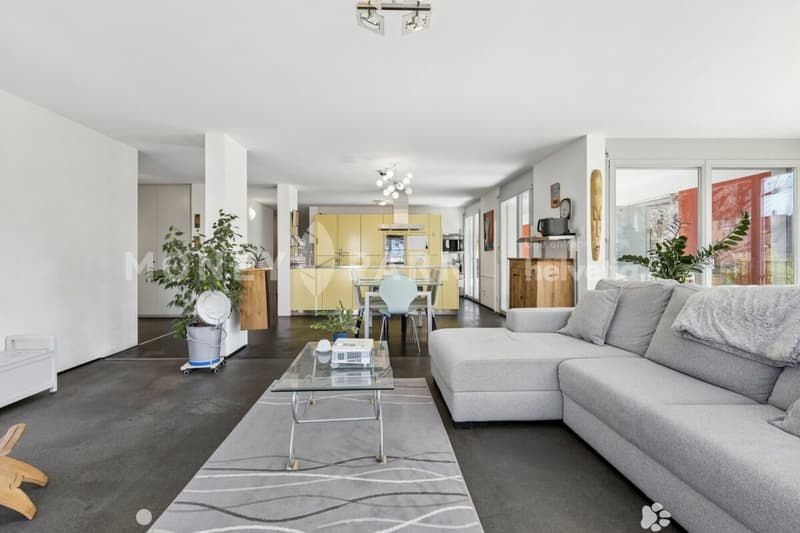 Grand appartement lumineux de 6.5-pièces (3)