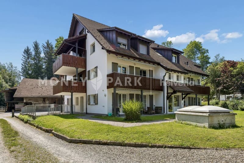 Attrayant appartement-maisonnette de 4,5 pièces en mansarde (2)