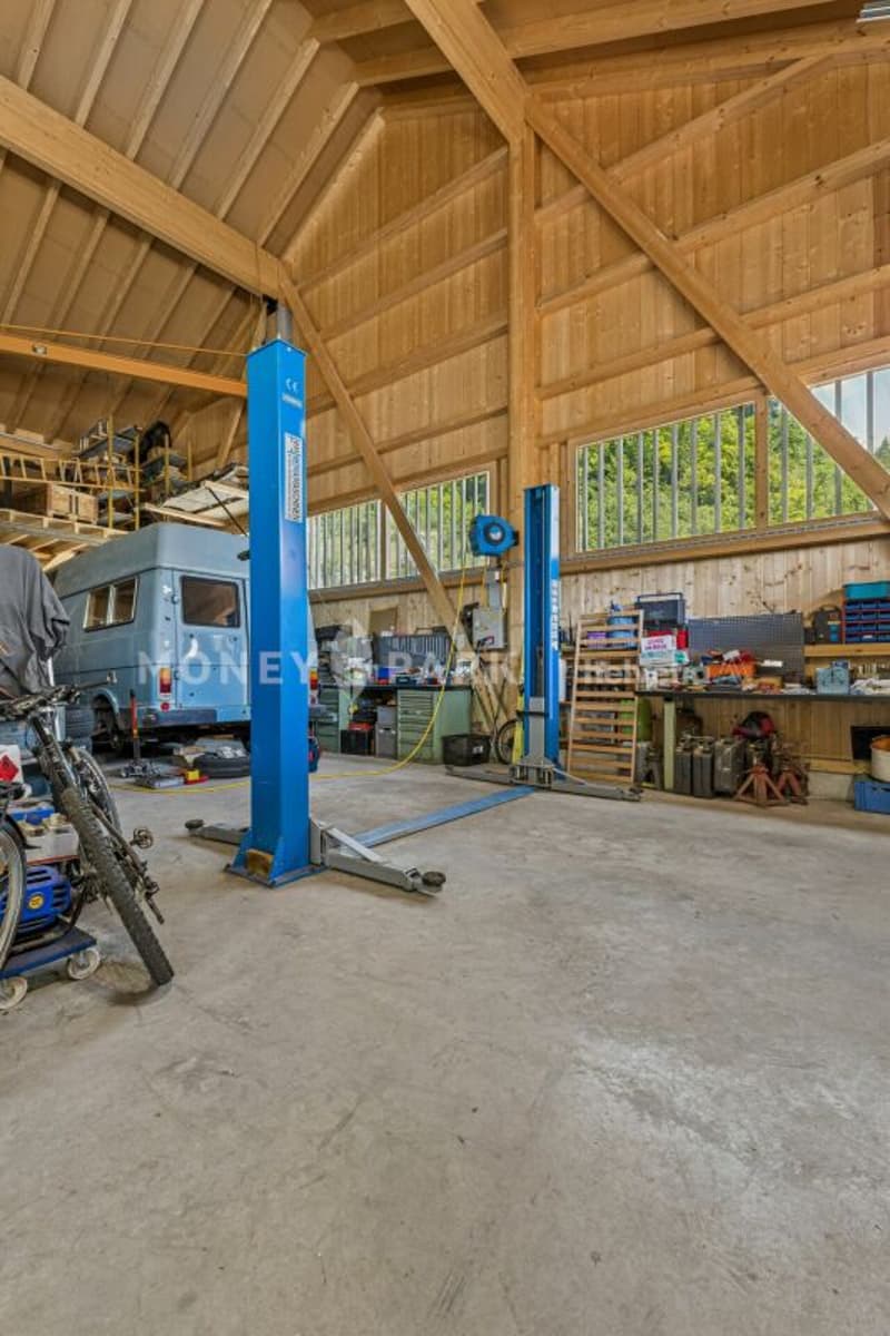 Magnifique propriété de 8 pièces avec hangar technique et quatre garages (19)