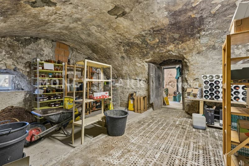Magnifique propriété de 8 pièces avec hangar technique et quatre garages (18)
