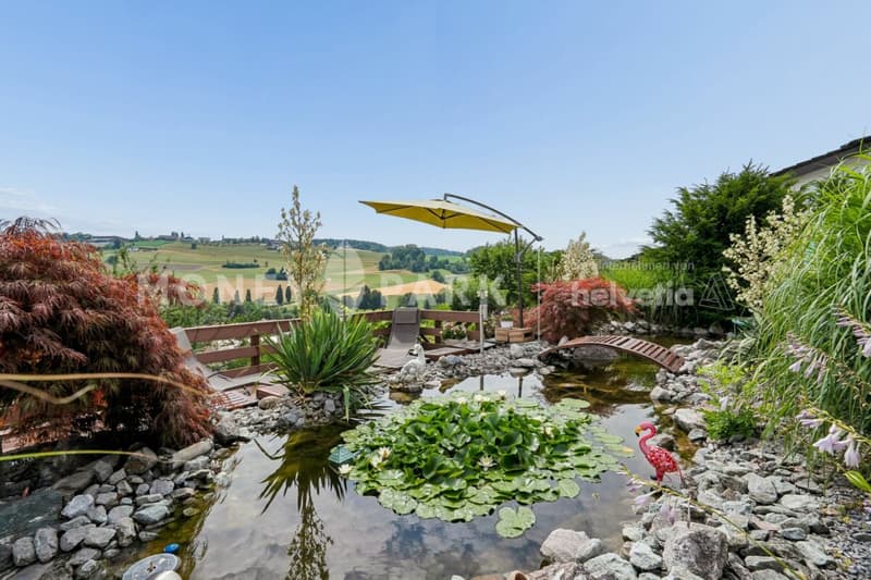 Einmaliges 6.5 Einfamilienhaus mit Panoramablick (3)