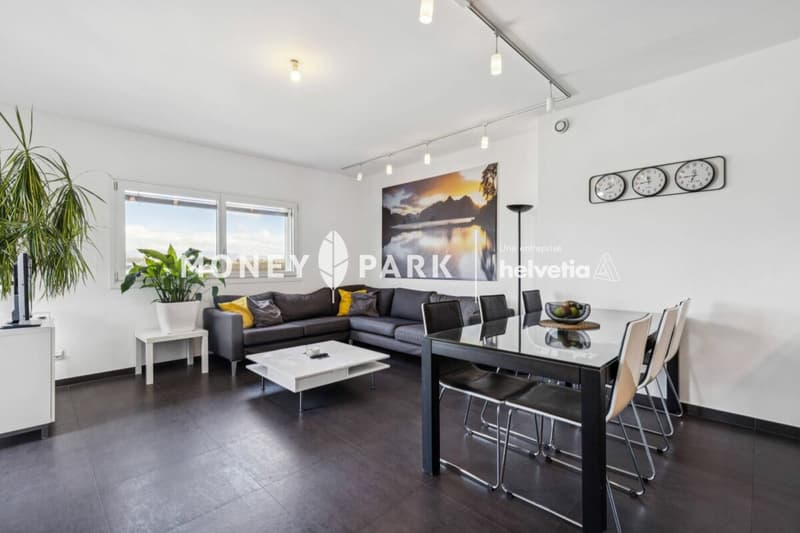 Appartement moderne de 4.5 pièces (1)