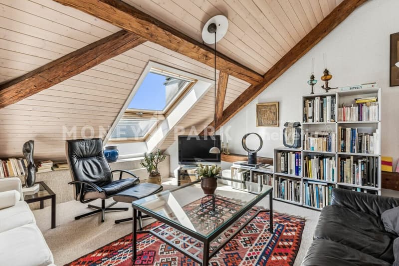 Magnifique appartement dans les combles (7)