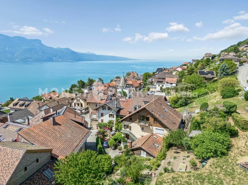 Magnifique appartement dans les combles (1)