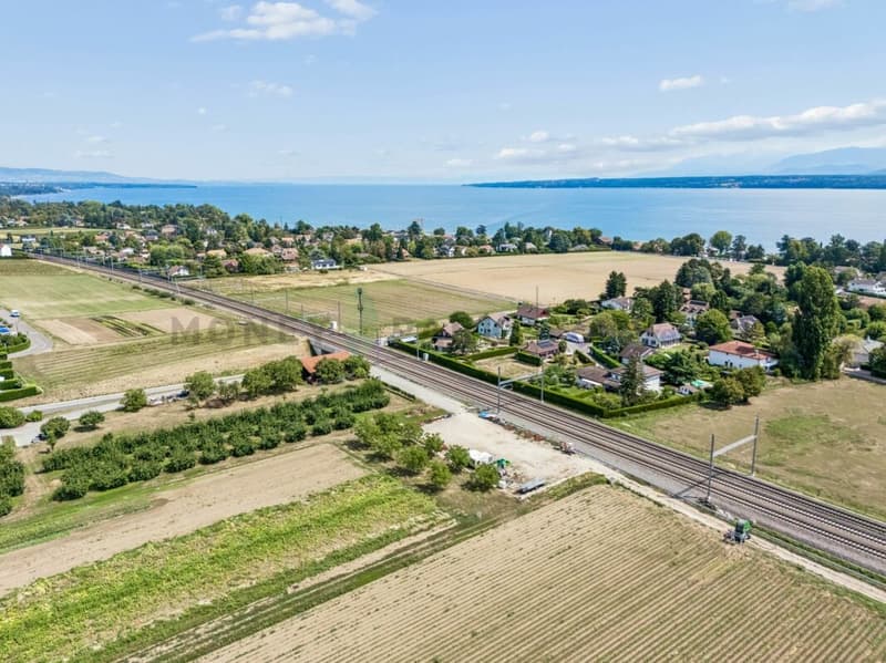 En exclusivité : Charmante maison individuelle à Founex avec grand terrain et beau potentiel (13)