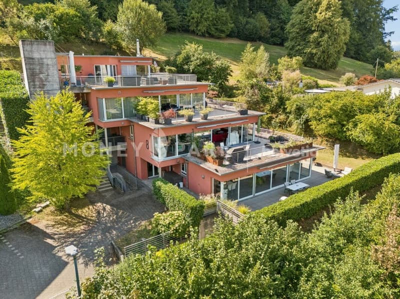 Attraktive 4.5-Zimmer-Terrassenwohnung an naturnaher Lage (1)