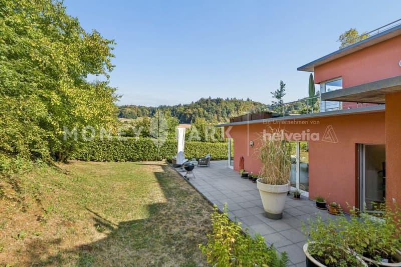 Attraktive 4.5-Zimmer-Terrassenwohnung an naturnaher Lage (13)