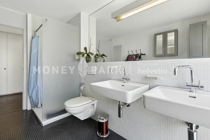 Grand appartement lumineux de 6.5-pièces (14)